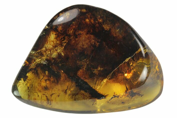 Polished Chiapas Amber ( g) - Mexico #114823